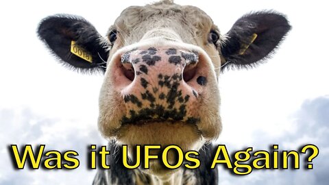 WHAT HAPPENED???? Why did all of the CATTLE SUDDENLY DIE? It wasn't a heat wave