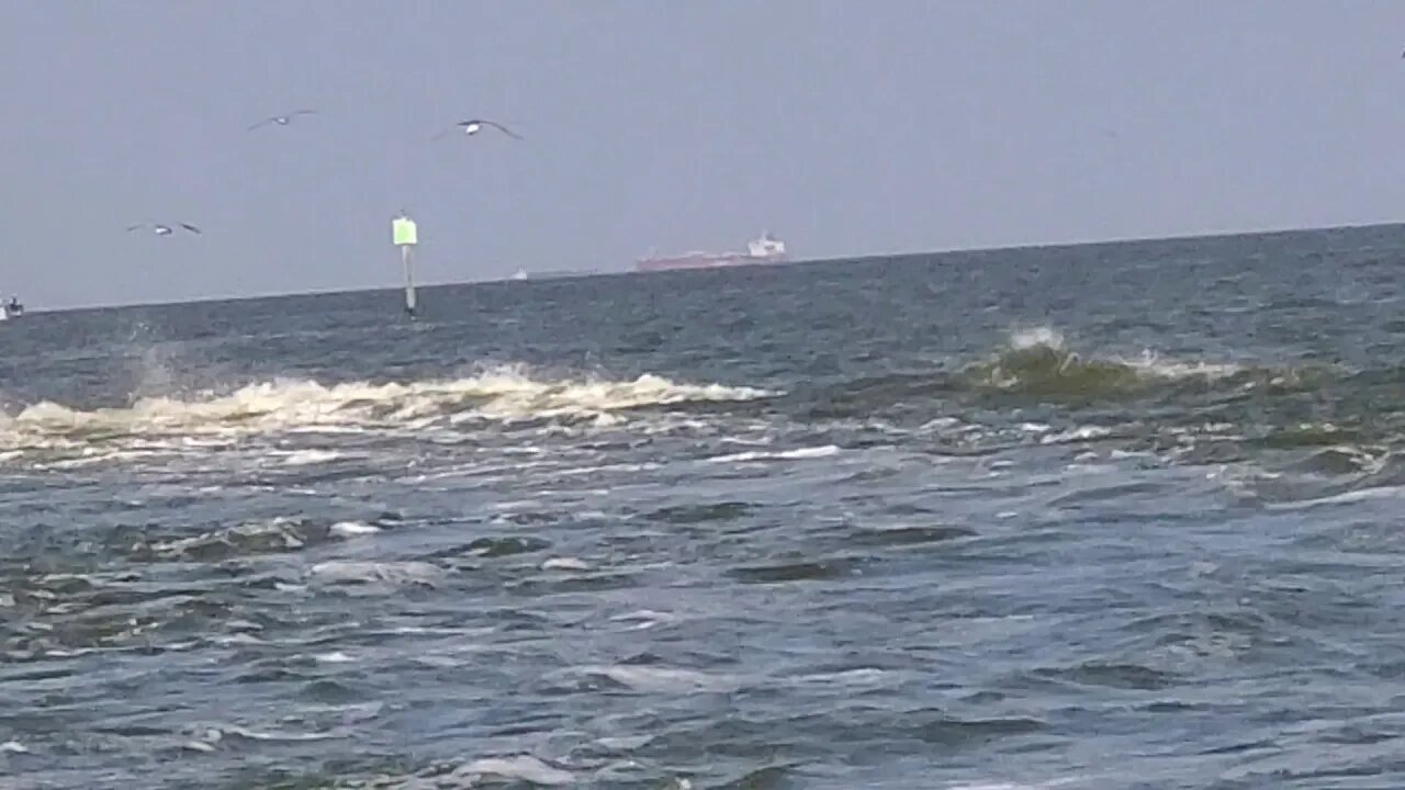 POWER BOAT 🚤 ON CLEAR LAKE CHANNEL 👌 😎