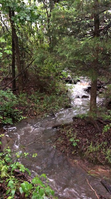 35 seconds of zen￼