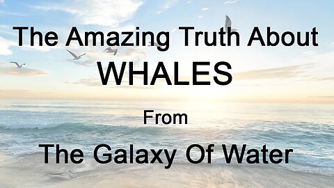 The Amazing Truth About Whales From The Galaxy Of Water