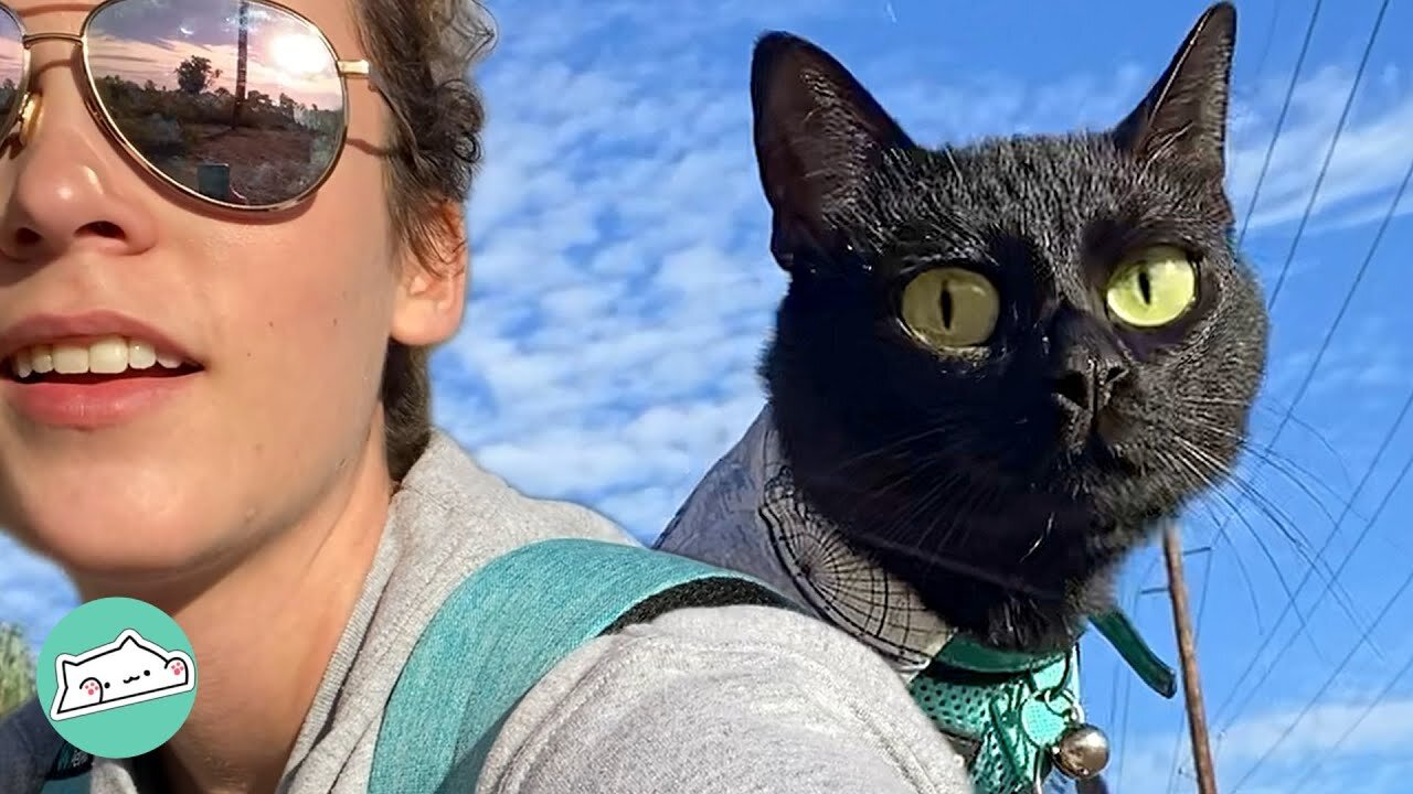 Cat Was Bored In City Until Girl Took Him Hiking | Furry Buddies