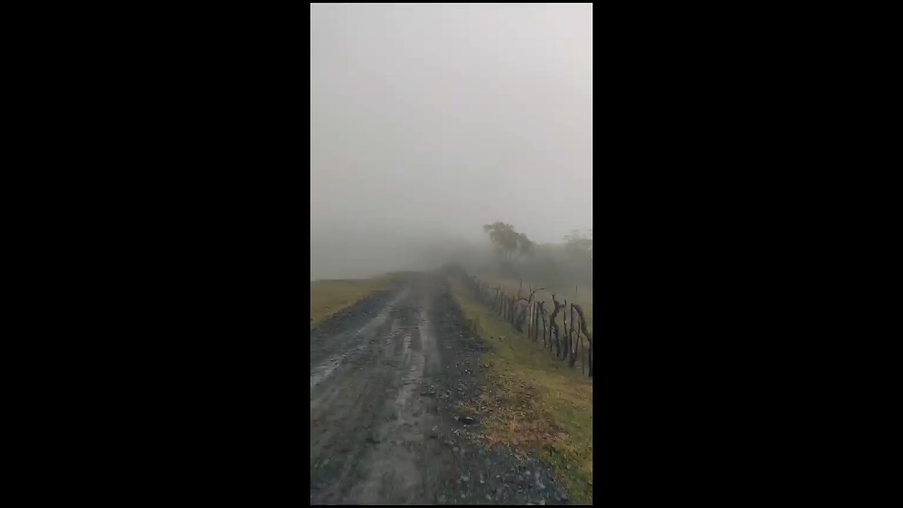 Foggy road