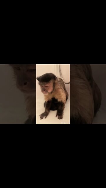 Gaitnly Rae Taking Bath #shorts