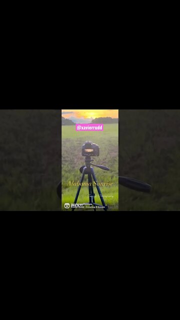 #joeybmanifestluv #shorts #instagood #instagram #photo #photography #sunrise #outdoors #xavier_rudd