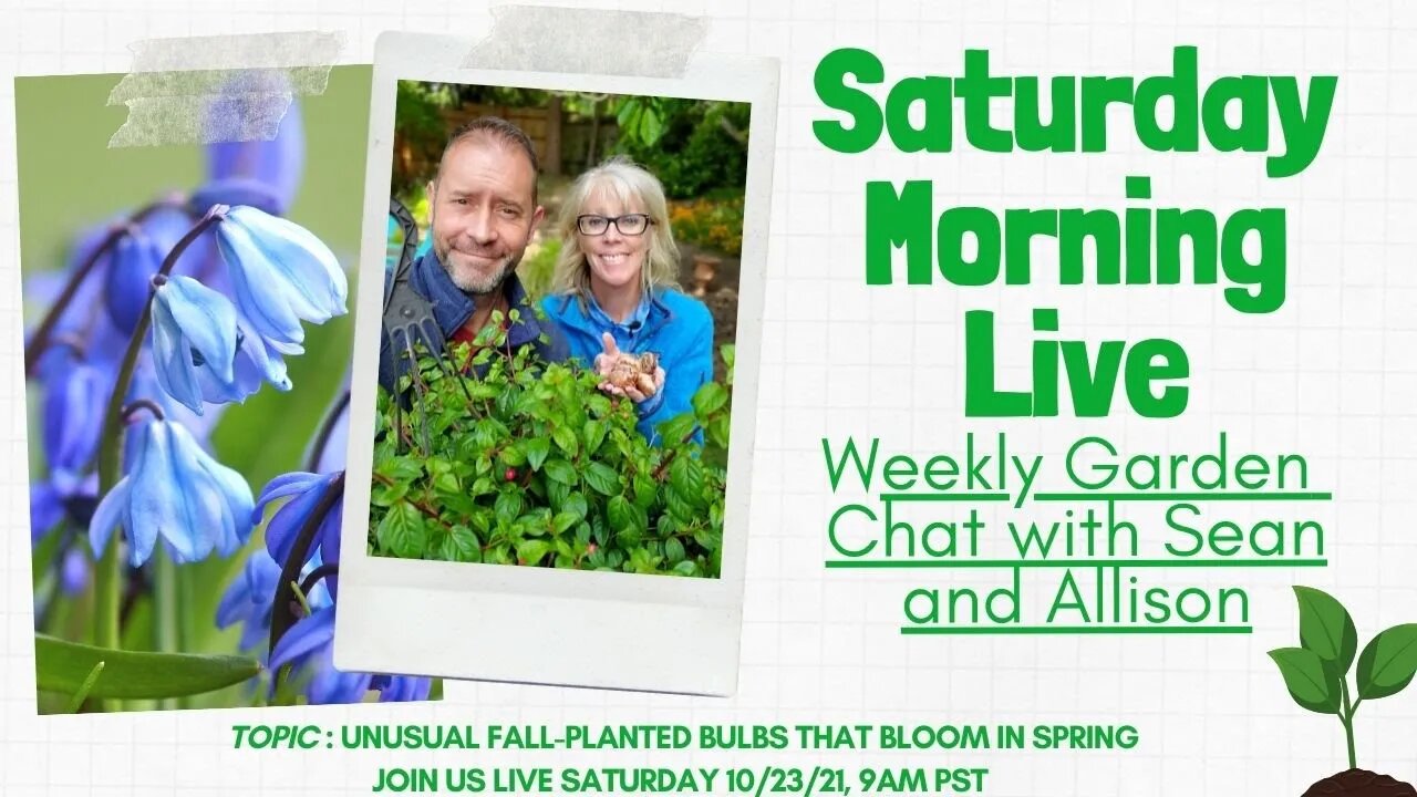 ☕ Unusual Garden Bulbs for Fall | Saturday Morning LIVE Garden Chat ☕