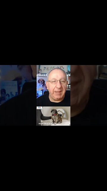 The Future Of Dog Training Is...