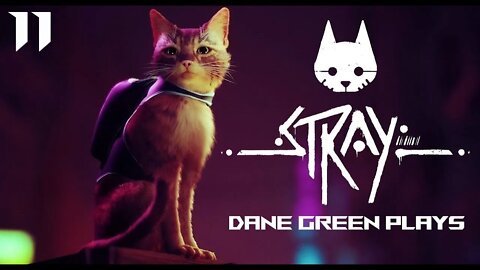 Dane Green Plays Stray Part 11