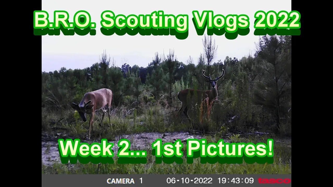 B.R.O. Scouting Vlogs 2022! Week 2 (1st Pictures!)