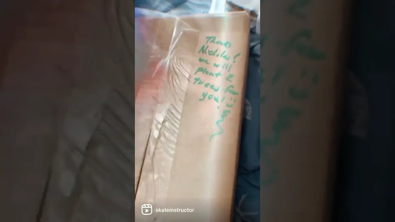 Bamboo skate unbox