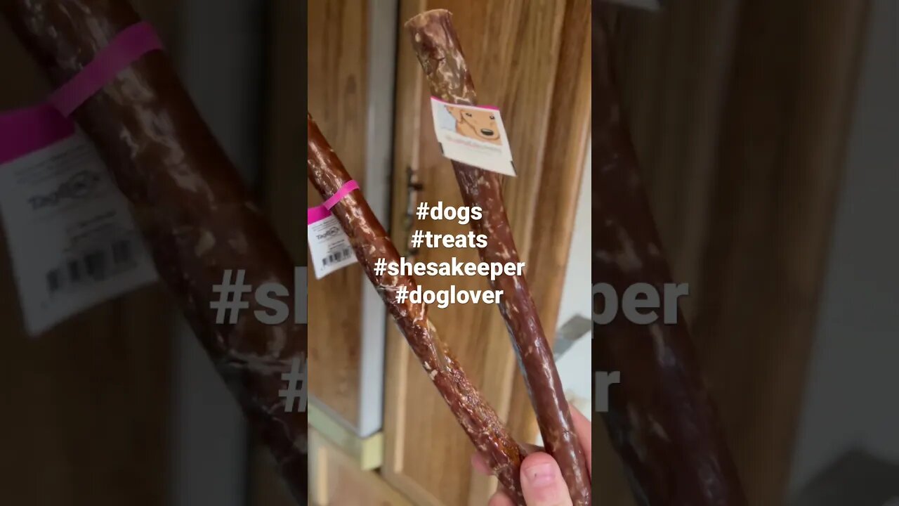 Treat delivery part 1 #dogs #dogshorts #treats #doglife #pitbull #bassethound #shesakeeper
