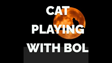 Watch This Cat 'Bol' You Over with Cuteness!"