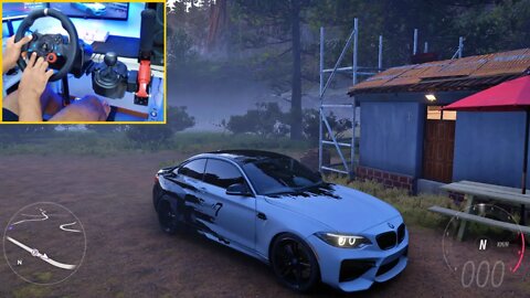 FORZA HORIZON 5 - Steering Wheel G29 - BMW M2 GAMEPLAY ( FH5 )