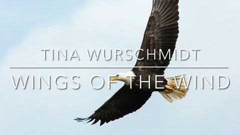 Wings of the Wind - Music by Tina Wurschmidt