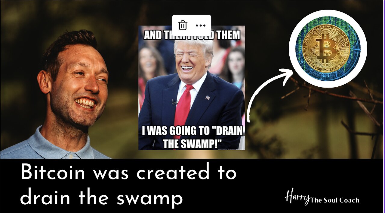 BITCOIN WAS CREATED TO DRAIN THE SWAMP