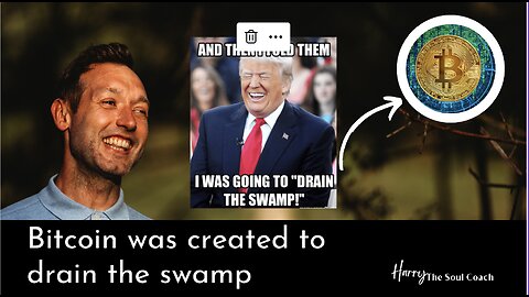 BITCOIN WAS CREATED TO DRAIN THE SWAMP