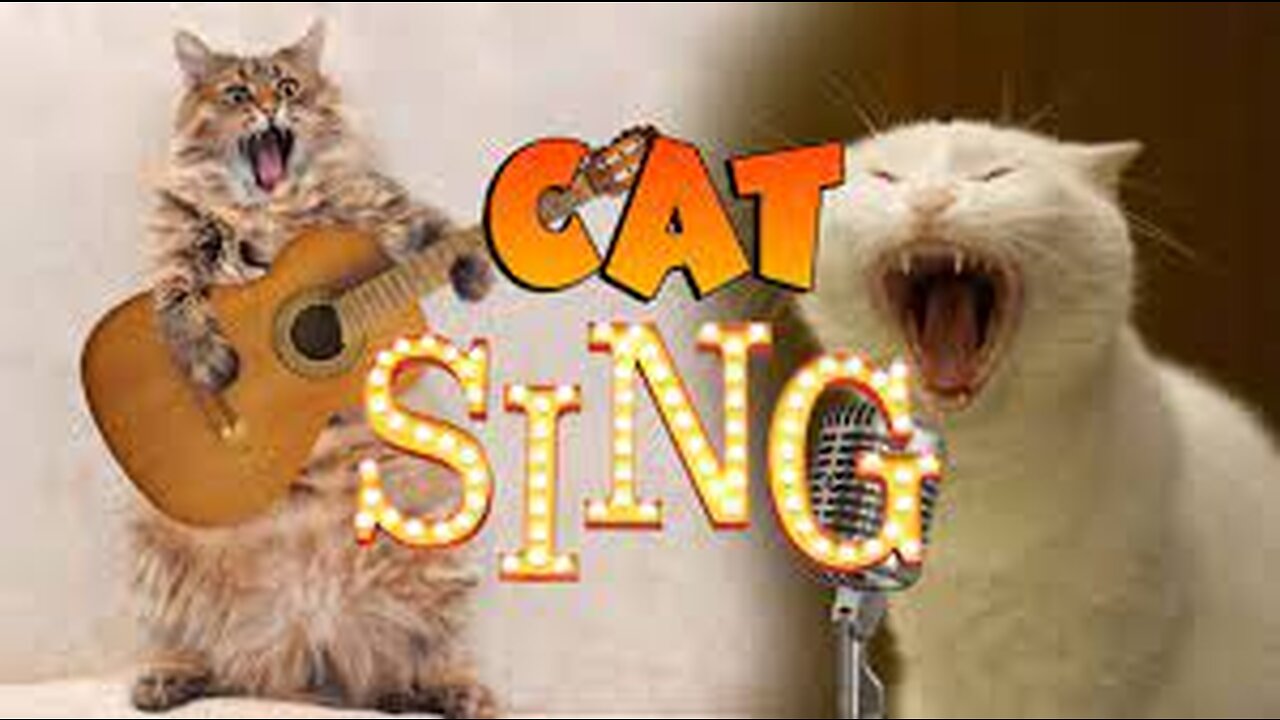 Cat sing