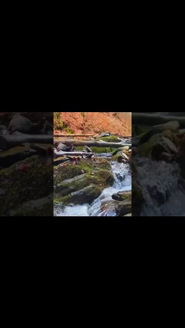 Best Relaxing Sound & Video | Water Steam | #shorts