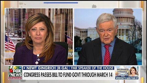 Newt Gingrich: Republicans Need To Unite