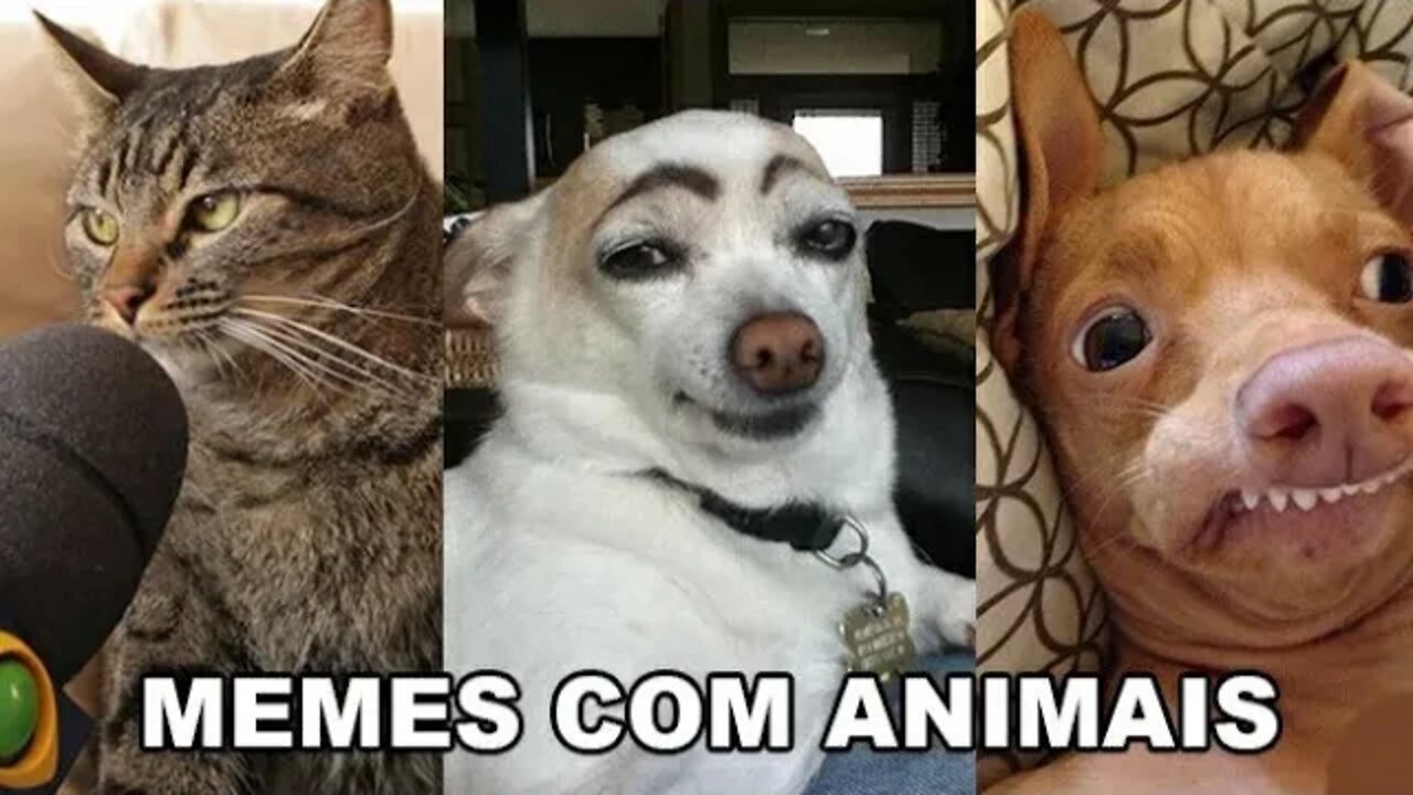 DUBLANDO OS ANIMAIS MAIS ENGRAÇADOS"se rir você perde, valendooo..."Parte 2