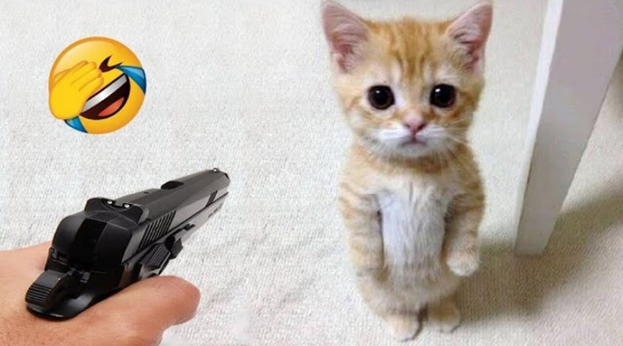 Funniest_Dogs_and_Cats_😺🐶_Funny_Animals_2023_😂 part 1
