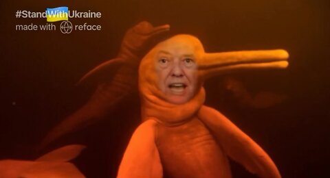 The Ultimate Donald Trump Dolphin Meme! 🐬