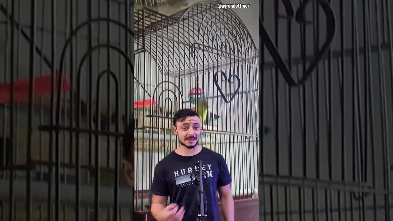 as leis mais estranhas envolvendo animais de todo mundo