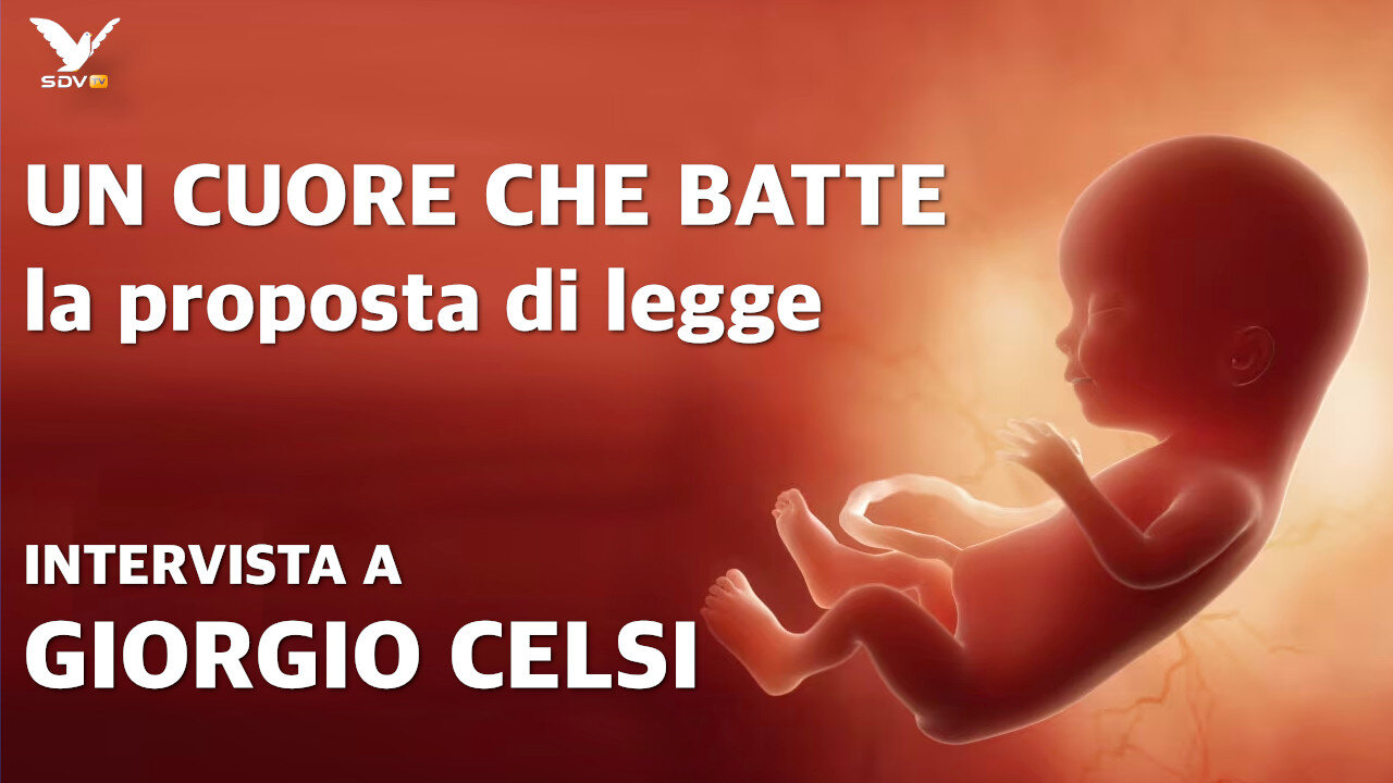 UN CUORE CHE BATTE - Proposta di legge - Intervista a Giorgio Celsi