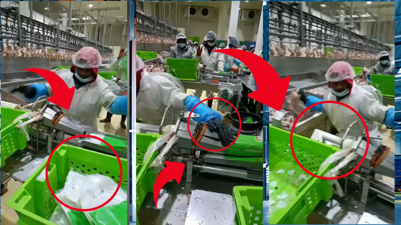 Factory Skills: Easily Dressed up Chicken Packaging Skills!👌😍