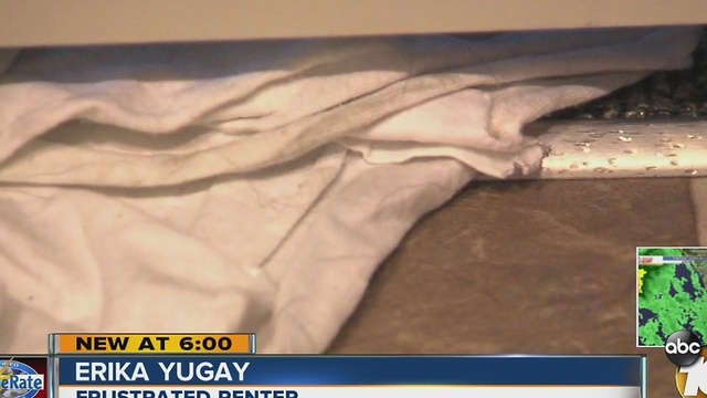 Woman wants leaky apartment fixed