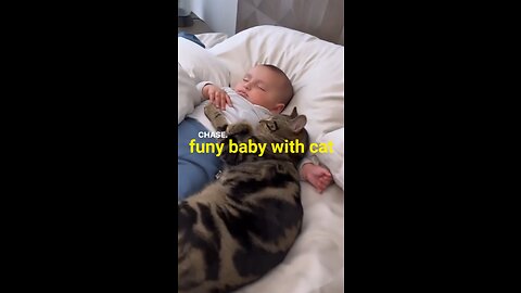 Funny baby with cat