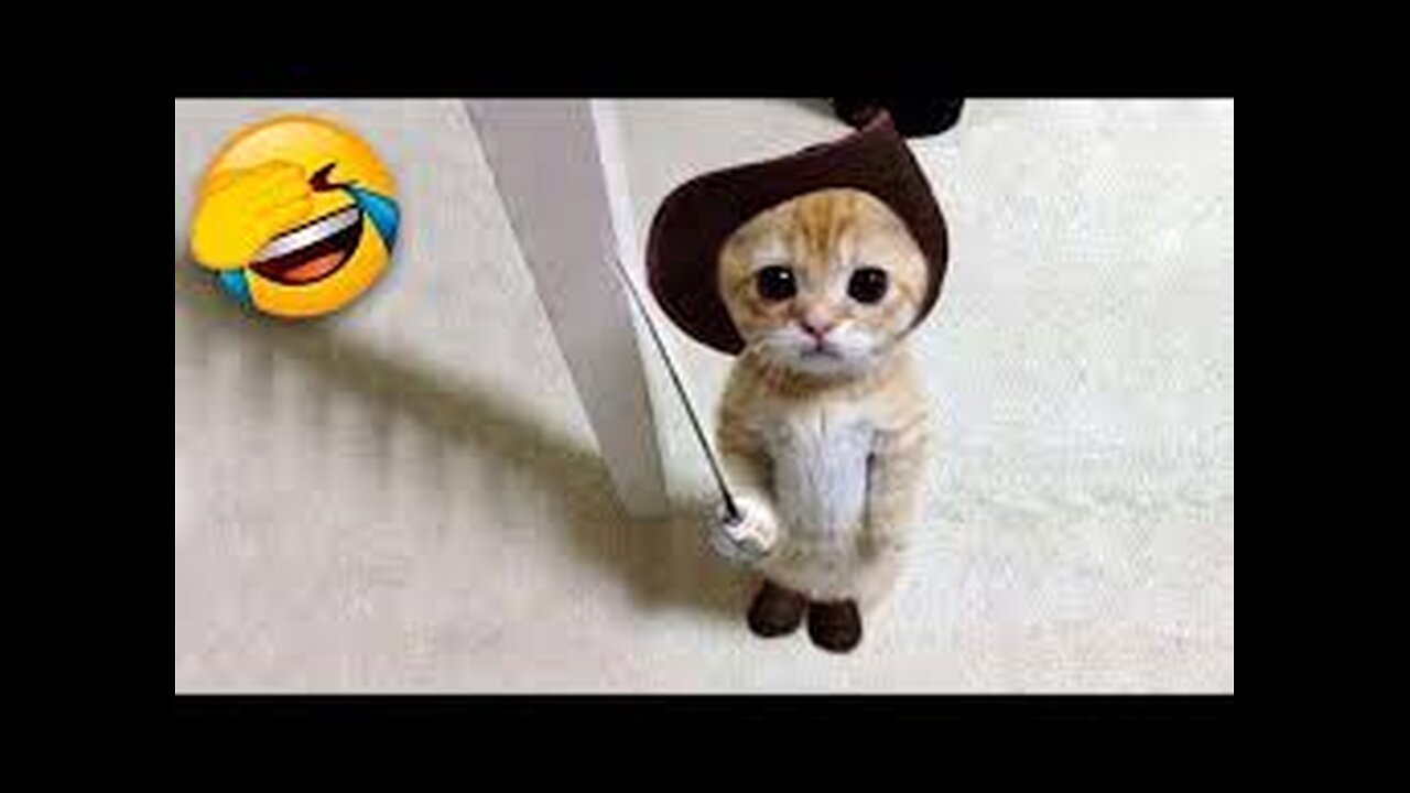 Funniest Animals 😄 New Funny Cats and Dogs Videos 😹🐶