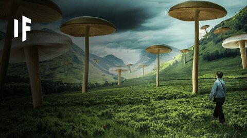 What If Giant Mushrooms Grew on Earth?