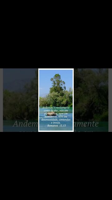 VERSÍCULO DO DIA 19/09/2022.#shorts