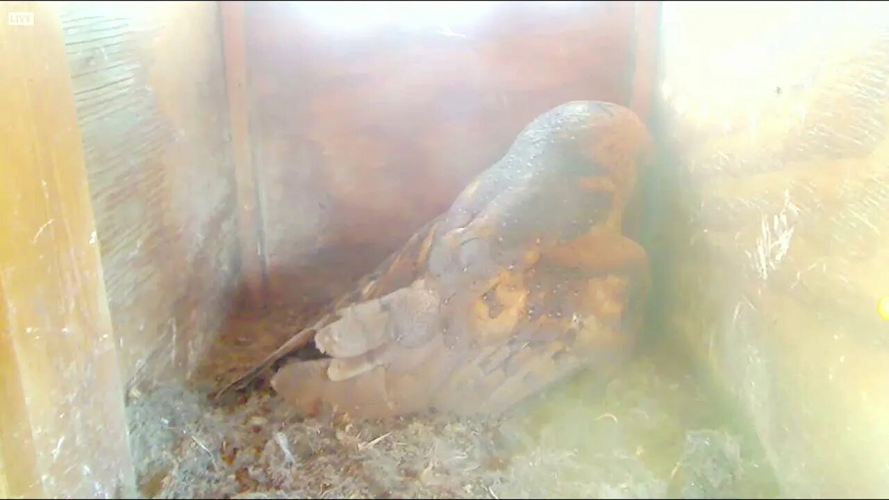 Syd, did you drink your lunch today? 1-8-20