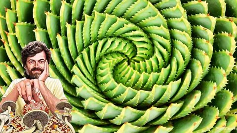 Nature is the Center of the Mandala - Terence McKenna Full Lecture