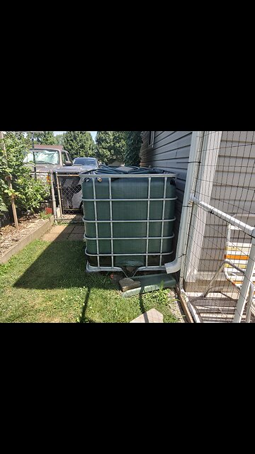 Collecting Rain Water For The Garden