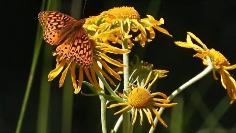 3,800 Days Left For The Planet