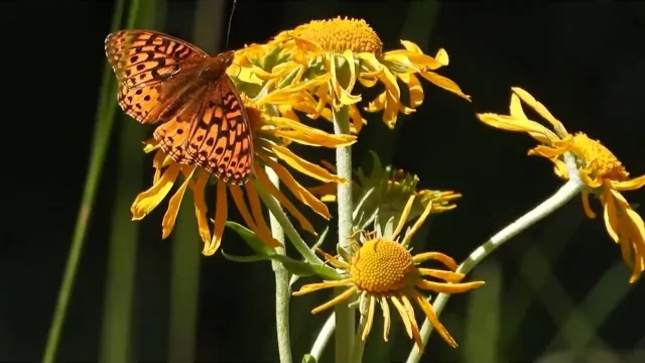 3,800 Days Left For The Planet