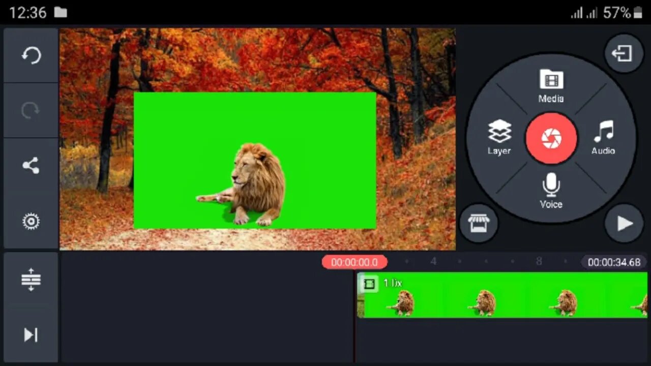 How to use chroma key | how to remove background from videos