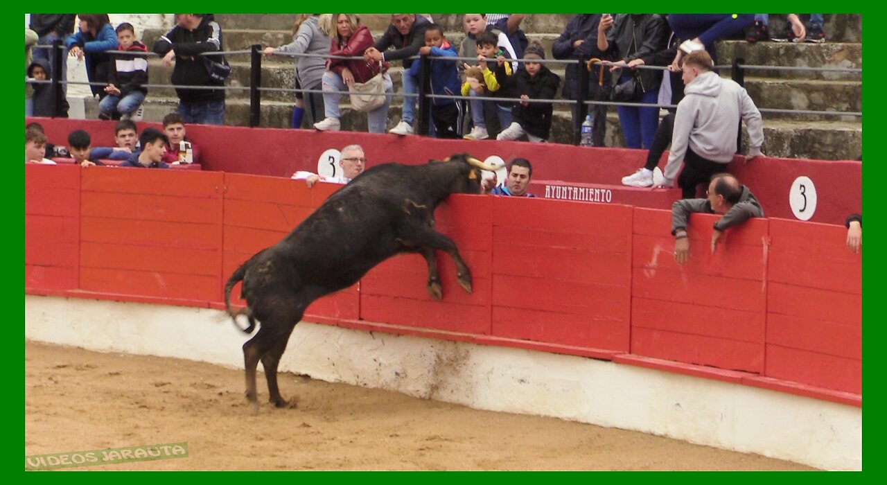 CORELLA ( NAVARRA ) MATINAL ENCIERRO Y VACAS PLAZA ( SABADO 22 ABRIL 2023 ) GANAD.EULOGIO