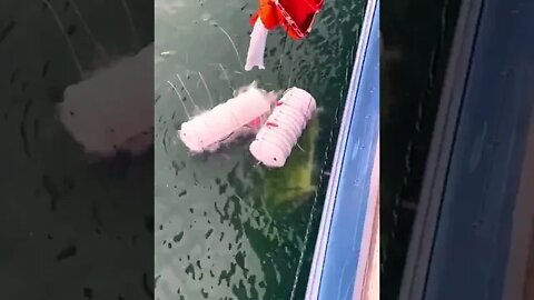 amazing life saver boat in emergency