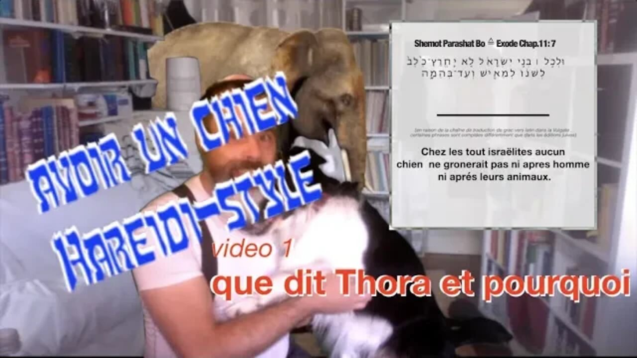 Judaïsme halakhot maitre chien 1/3