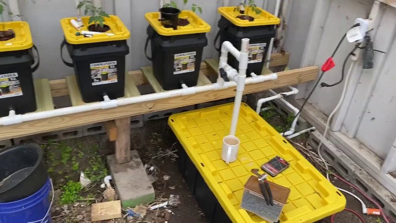 New Deep Water / Aeroponics / Kratkyish Hydroponics System - Part Four - Plants In and Operational