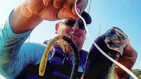 Let's Talk Summer Time Baits