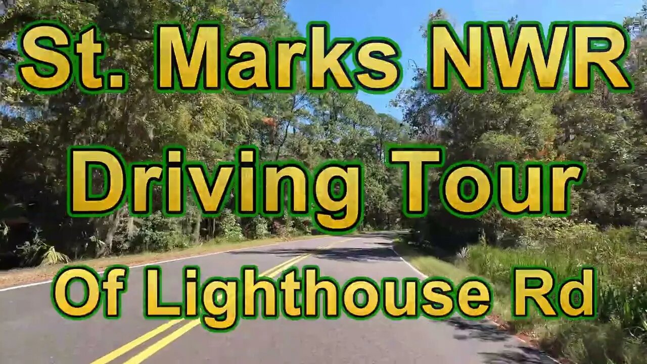 St Marks NWR Driving Tour of Lighthouse Road