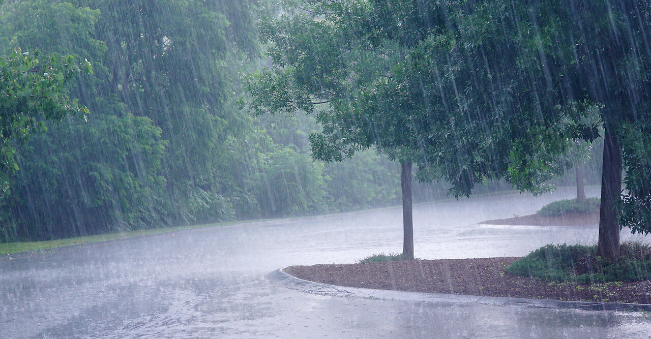 The Sound of Rain