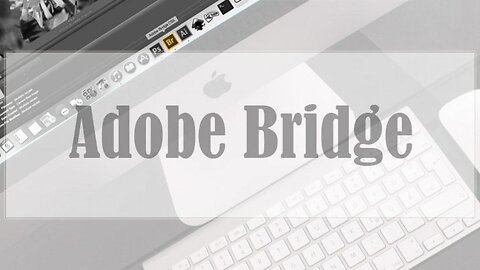 Adobe Bridge 2023 Free Download [10filesss.com]