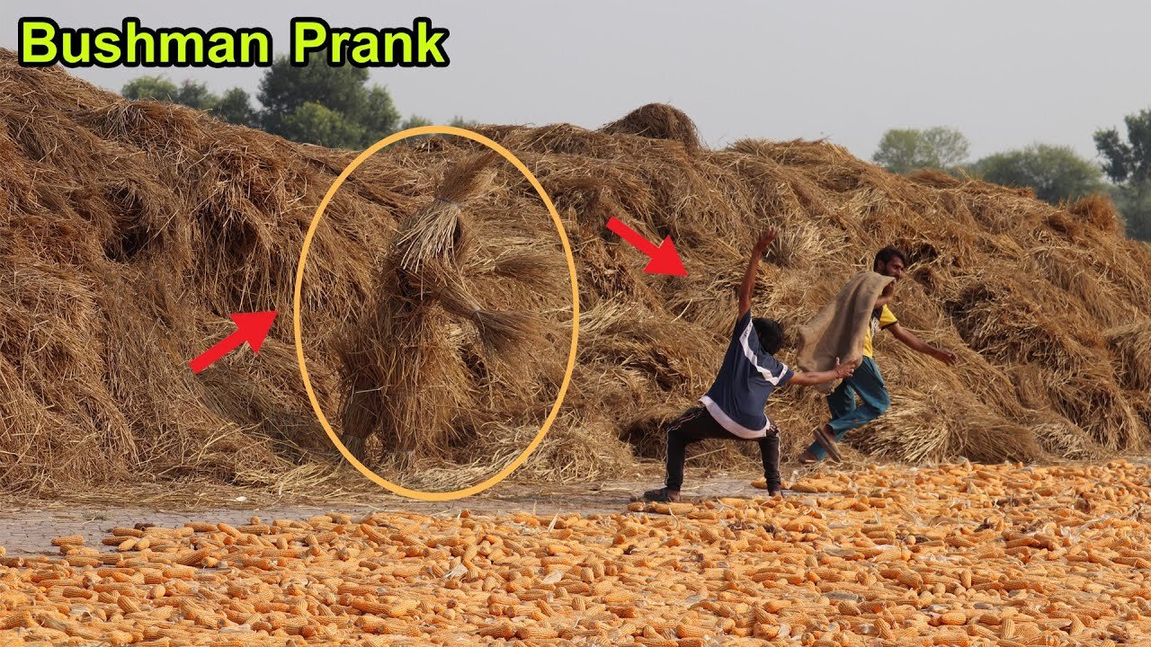 Best of fails Bushman prank compilation. Fainted reaktion real funniest video