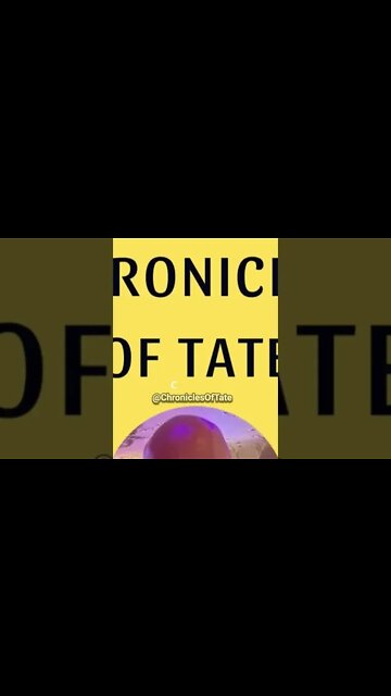 Andrew Tate Will Fight 'ANYBODY' On This F*cken Planet🥊