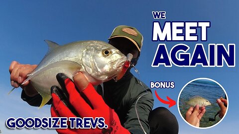 GOODSIZE TREVALLY | HERALDO TV